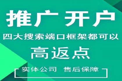 行业经典案例：SEM推广代运营如何助力销售增长